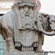 Statua dell'Elefante presso Piazza della Minerva, Roma