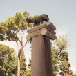 Statua della Lupa presso Il Campidoglio, Roma