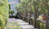 Giardino di Villa Borromeo sull'Isola Bella, Piemonte
