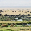 Cratere del Ngorongoro, Tanzania