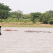 Pescatori a Niamtougou con ippopotami, Togo