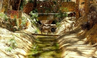Corso d'acqua nell'oasi, Nefta