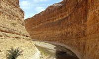 Gole di Seldja, Tunisia
