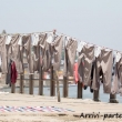 Pantaloni messi ad asciugare a Varanasi, Uttar Pradesh, India