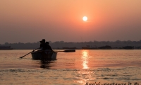 Barca sul Gange all'alba a Varanasi, Uttar Pradesh, India