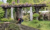 Fiori all'interno del Giardino botanico di Villa Taranto, Verbania