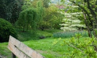 Percorso all'interno del Giardino botanico di Villa Taranto, Verbania