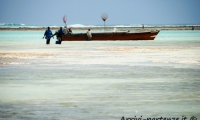 Barca vicino alla costa, Zanzibar