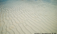 Sabbia sulla costa, Zanzibar