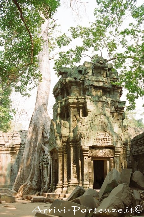 Angkor Thom, Banteay srei e Ta Prohm