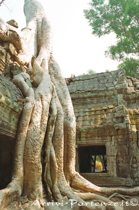Angkor Wat e gli altri templi di Angkor