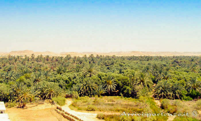 L'oasi di Siwa, nel deserto egiziano