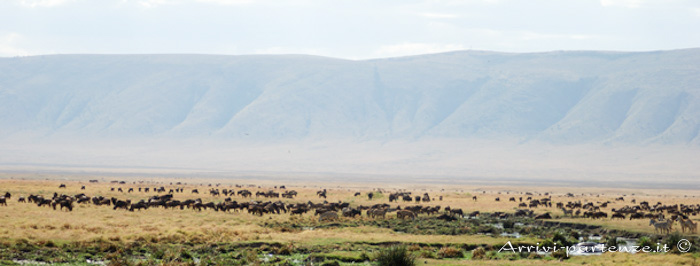 Il cratere del Ngorongoro, Tanzania