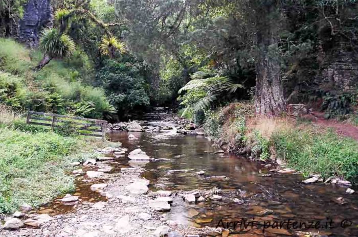 Torrente nei pressi delle Waitomo Caves, Nuova Zelanda