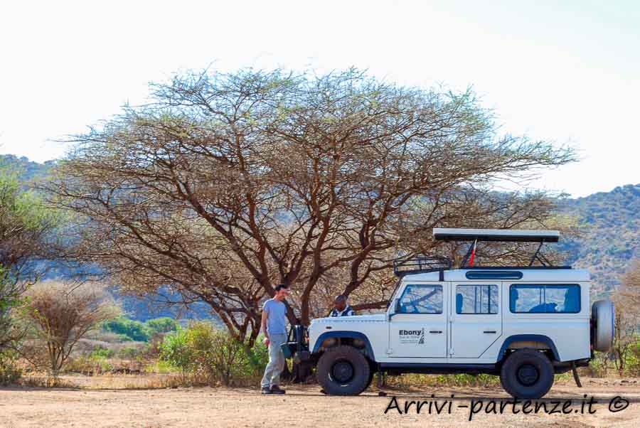 Guida locale nel safari, Tanzania
