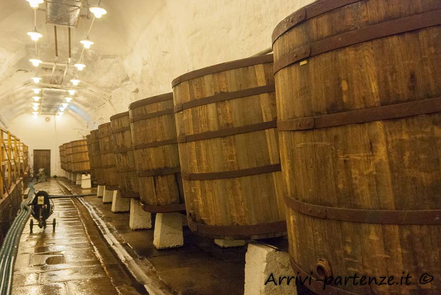 Botti di legno nelle cantine presso la fabbrica della birra a Pilsen, Repubblica Ceca