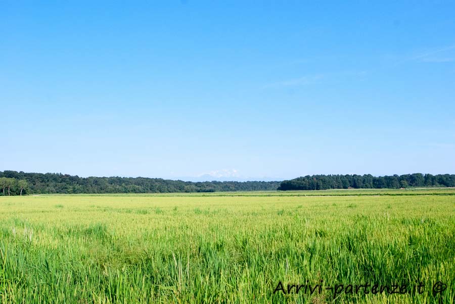 Paesaggio nei dintorni del Tenimento Al Castello di Sillavengo, Novara