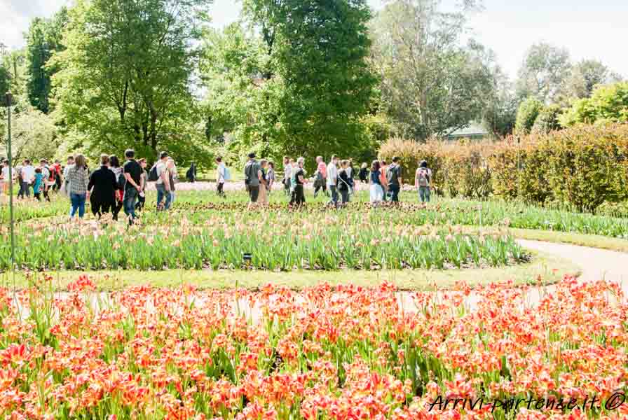 Giardini di Villa Taranto a Pallanza, Piemonte