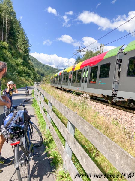 Passaggio del treno accanto alla ciclabile Brunico-Fortezza, Trentino-Alto-Adige